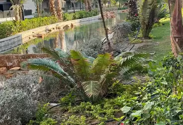 Apartment with Garden For sale - 2 rooms - floor 0