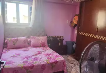 undefined undefined - 2 rooms - floor 6