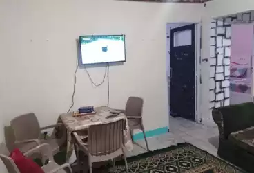 Properties For rent - 2 rooms - floor 4