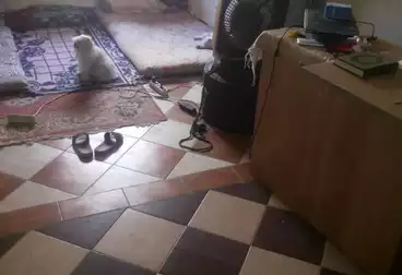 Administrative For sale - 2 rooms - floor 0