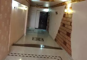 شقق للبيع - 3 غرف - بالدور 7