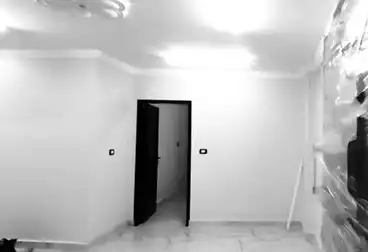 Apartments For rent - 3 rooms - floor 5