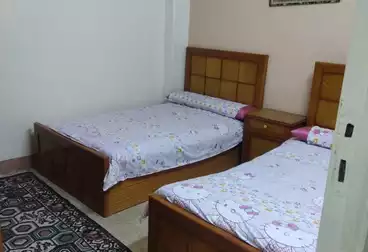 شقق فندقية للإيجار - 3 غرف - بالدور 2