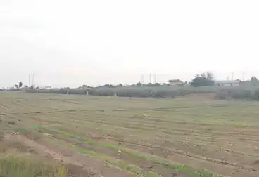 Farm For sale