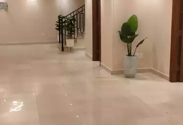 undefined undefined - 3 rooms - floor 1