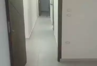 Apartments For rent - 3 rooms - floor 8