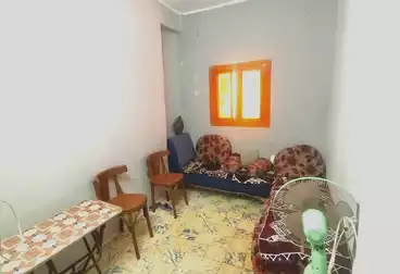 Apartments For sale - 3 rooms - floor 1