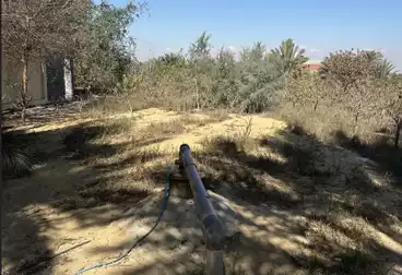 أراضي للبيع