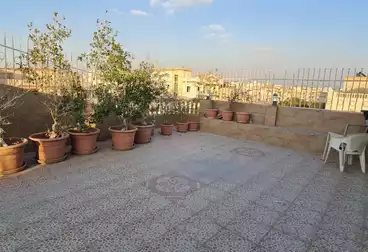 روف للبيع - 5 غرف - بالدور 3