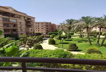 شقق للإيجار - 3 غرف - بالدور 1