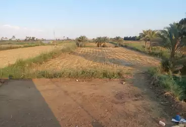 أرض زراعية للبيع