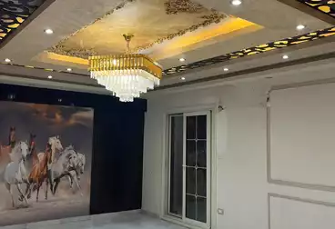شقق للبيع - 3 غرف - بالدور 0