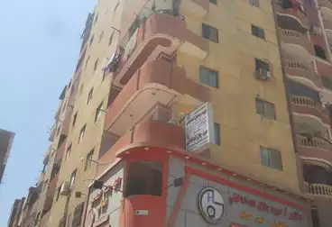 عقارات للإيجار - 2 غرف - بالدور 5