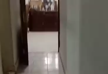 Apartments For sale - 2 rooms - floor 1