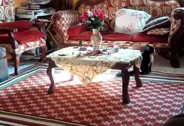 شقق للبيع - 3 غرف - بالدور 11