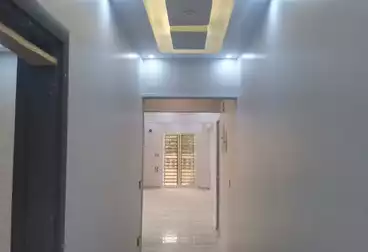 شقق للإيجار - 3 غرف - بالدور 0