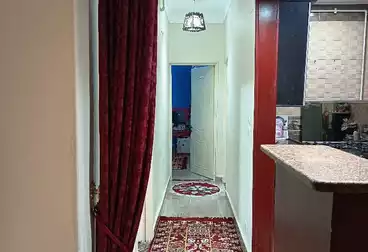 شقق للإيجار - 3 غرف - بالدور 3