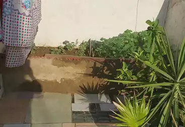 عقارات للبيع