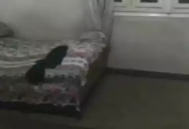 undefined undefined - 2 rooms - floor 2
