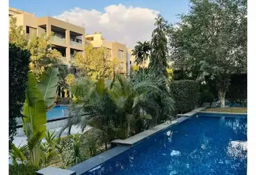 عقارات للإيجار - 3 غرف - بالدور 0