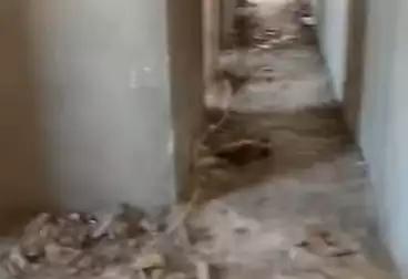 undefined undefined - 2 rooms - floor 7