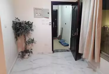 Roof For rent - 3 rooms - floor 0