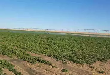 Farm For sale