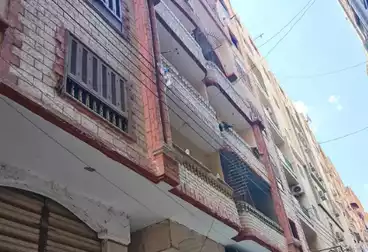 شقق للبيع - 2 غرف - بالدور 1