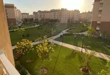 شقق للإيجار - 3 غرف - بالدور 2