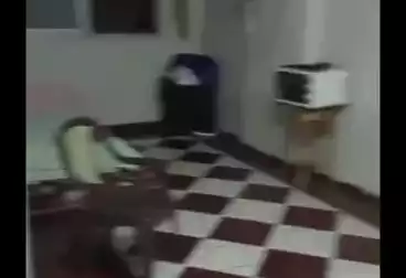 Apartments For sale - 3 rooms - floor 3