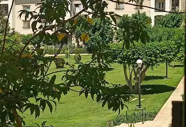Properties For rent - 3 rooms - floor 3