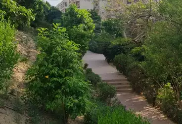 undefined undefined - 3 غرف - بالدور 1