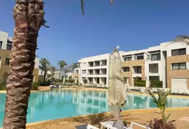 undefined undefined - 2 غرف - بالدور 0
