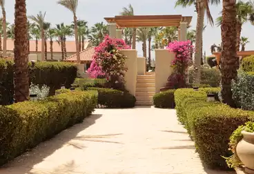 Apartments For sale - 1 rooms - floor 1