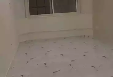 Properties For sale - 3 rooms - floor 8