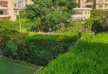 undefined undefined - 3 غرف - بالدور 1
