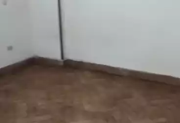 Apartments For rent - 3 rooms - floor 7