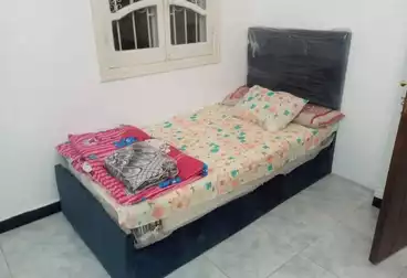 شقق مفروشة للإيجار - 2 غرف - بالدور 0