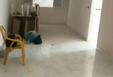 Properties For sale - 2 rooms - floor 6