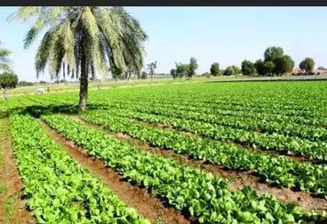 Farm For sale