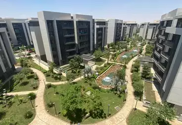 عقارات للإيجار - 3 غرف - بالدور 2