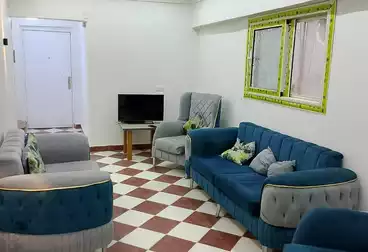 شقق للبيع - 3 غرف - بالدور 10