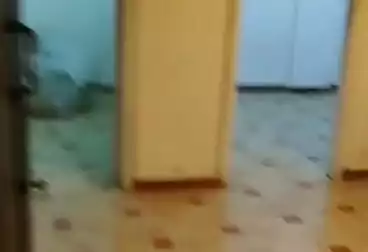 شقق للبيع - 2 غرف - بالدور 4