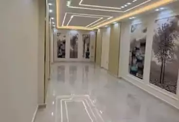 شقق للبيع - 3 غرف - بالدور 1