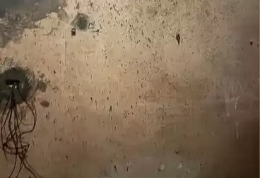 undefined undefined - 2 rooms - floor 1