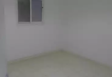 Properties For rent - 1 rooms - floor 2