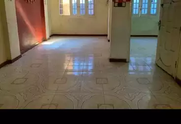 Apartments For rent - 2 rooms - floor 5