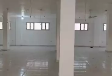 مصنع للإيجار