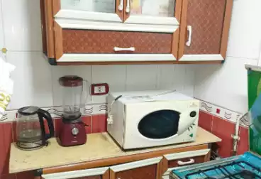 شقق مفروشة للإيجار - 2 غرف - بالدور 1