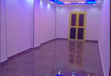 شقق للإيجار - 3 غرف - بالدور 10